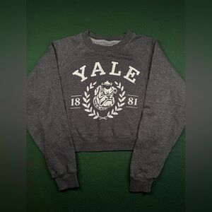 Yale University Cropped Sweatshirt Gray Size Small